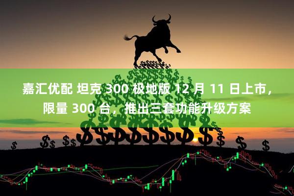 嘉汇优配 坦克 300 极地版 12 月 11 日上市，限量 300 台，推出三套功能升级方案