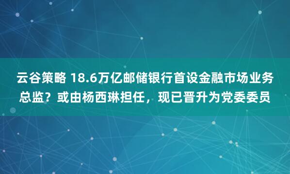 云谷策略 18.6万亿邮储银行首设金融市场业务总监？或由杨西琳担任，现已晋升为党委委员