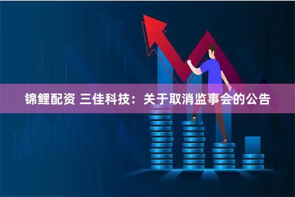 锦鲤配资 三佳科技：关于取消监事会的公告