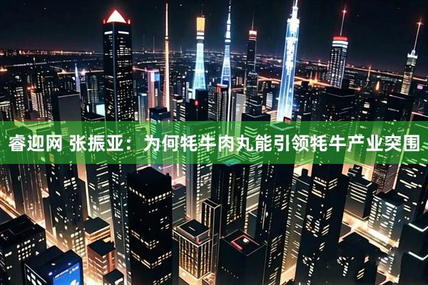 睿迎网 张振亚：为何牦牛肉丸能引领牦牛产业突围