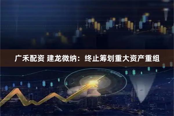 广禾配资 建龙微纳：终止筹划重大资产重组