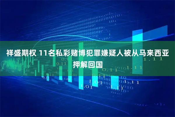 祥盛期权 11名私彩赌博犯罪嫌疑人被从马来西亚押解回国