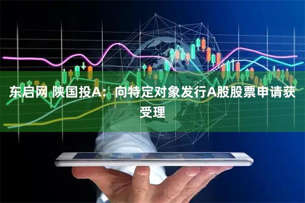 东启网 陕国投A：向特定对象发行A股股票申请获受理