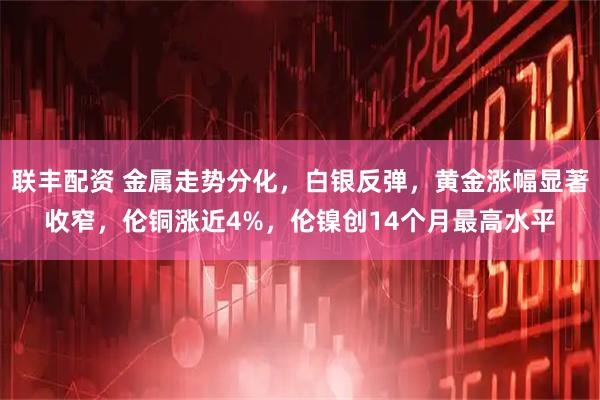 联丰配资 金属走势分化，白银反弹，黄金涨幅显著收窄，伦铜涨近4%，伦镍创14个月最高水平