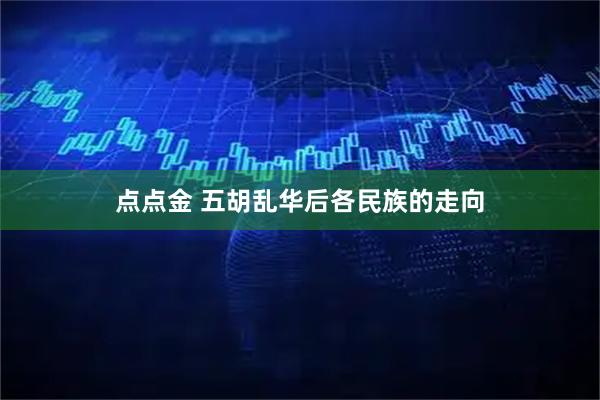 点点金 五胡乱华后各民族的走向